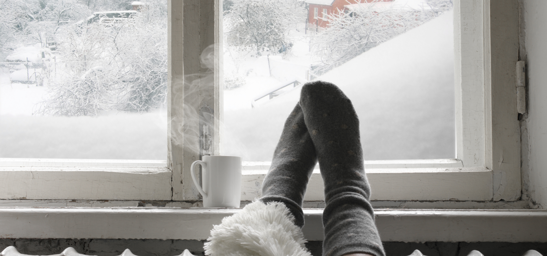Embracing Winter's Slower Pace & The Beauty of Hibernation