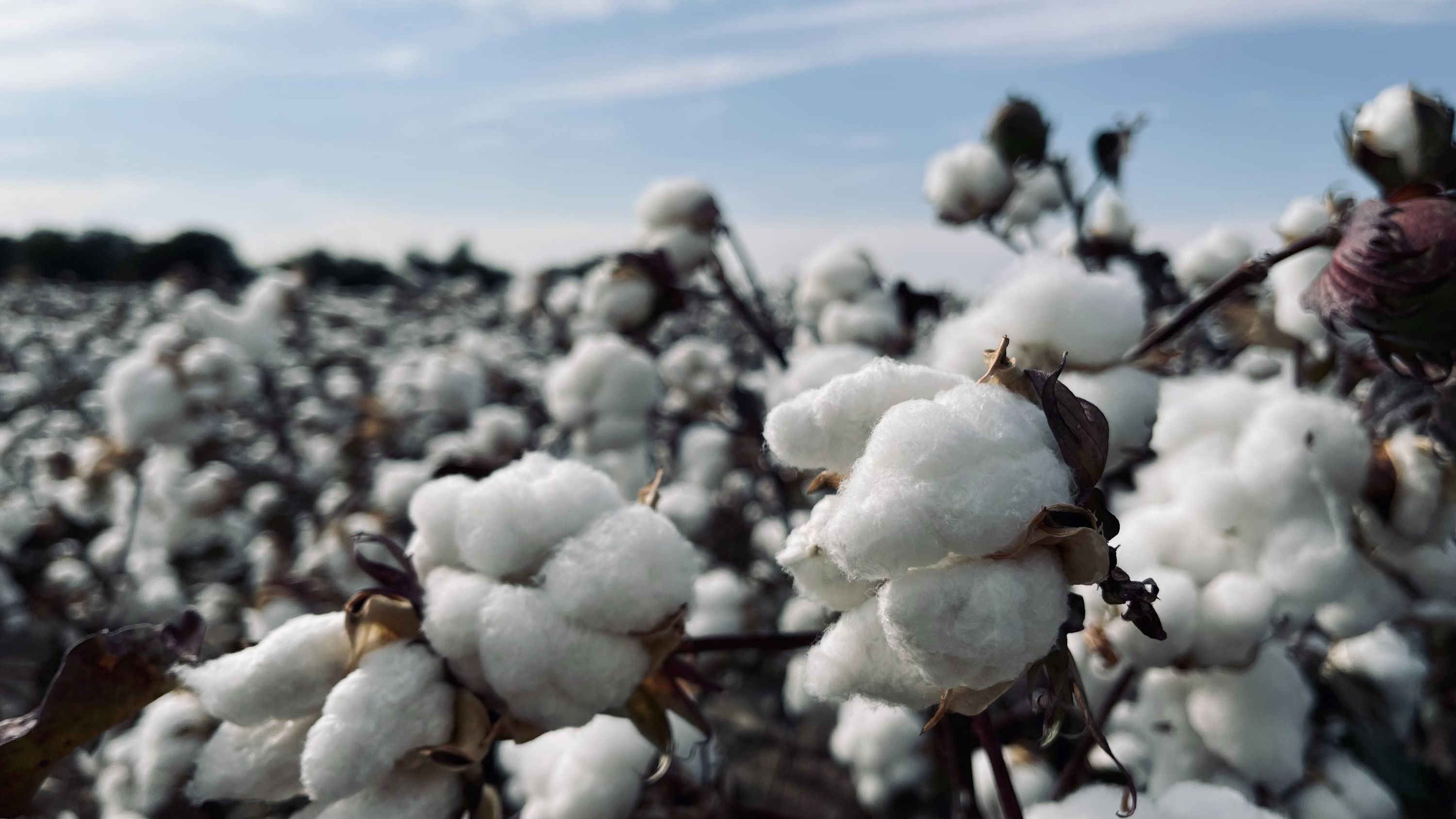 Natural Fabrics for Eczema: What to Use & Avoid