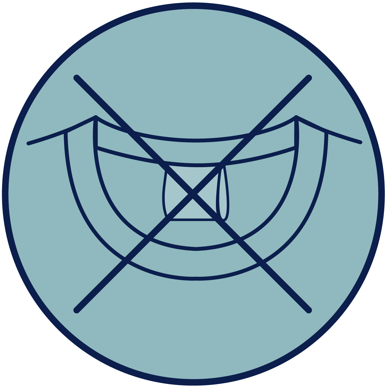 Info Icon