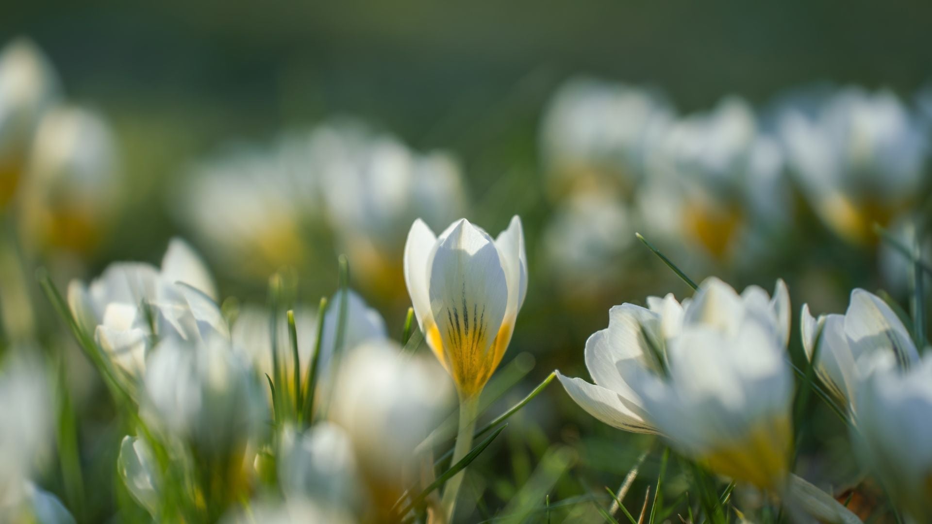 Why Is Eczema Worse in Spring?