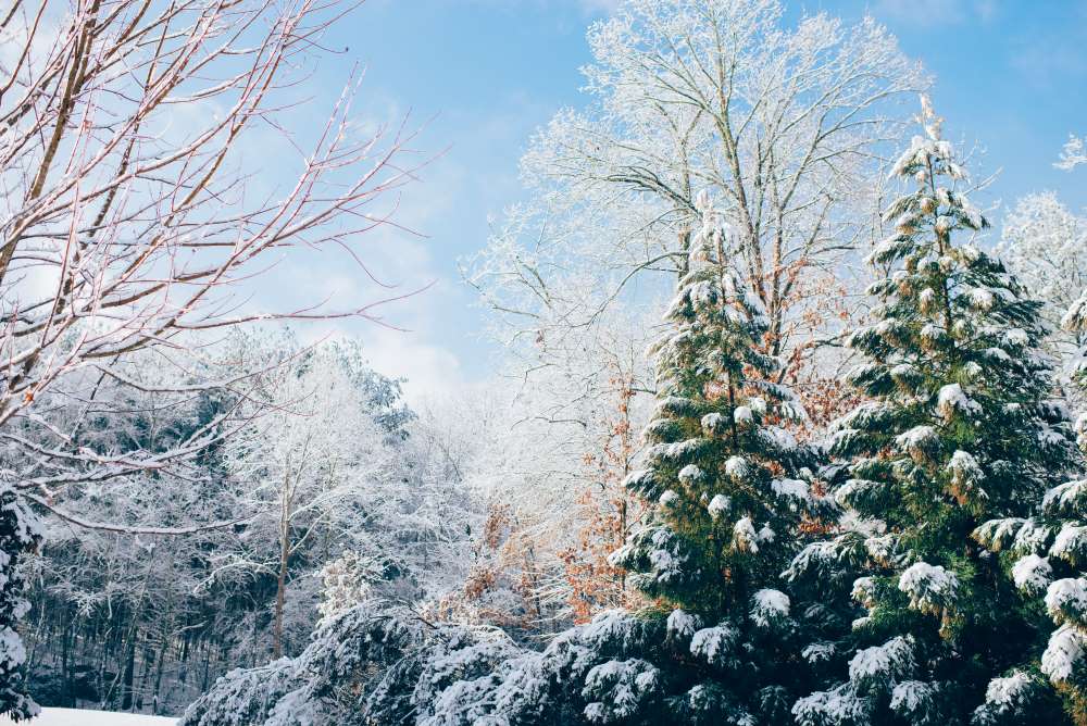 How to help your skin in winter